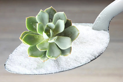 Agave Inulin Fibre Australia