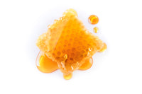 BULK BUY MANUKA HONEY POWDER AUSTRALIA